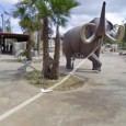 Con Google Maps, las personas pueden averiguar la ubicación de restaurantes, negocios, centros comerciales, etc. Además, gracias a la herramienta “Street View” los usuarios han roto la barrera de la […]