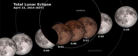 Los observadores del cielo vieron  el eclipse total lunar la luna de sangre  este martes por la madrugada en todo su esplendor. La Luna adquirió un tono rojizo mientras aparecía […]